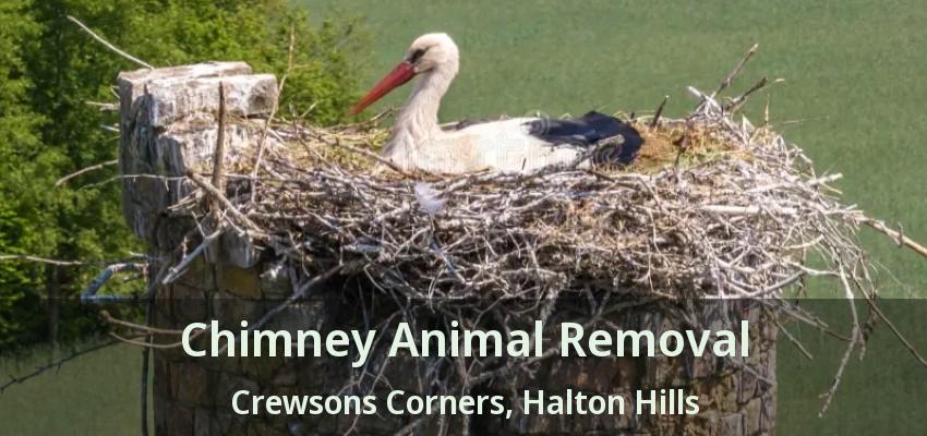 Chimney Animal Removal Crewsons Corners, Halton Hills - ON