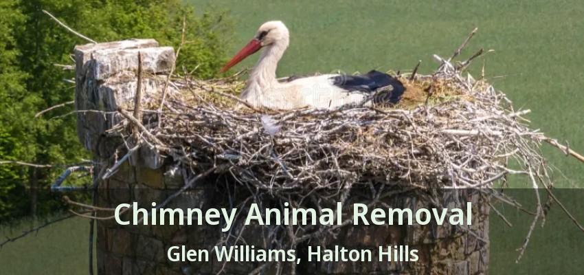Chimney Animal Removal Glen Williams, Halton Hills - ON