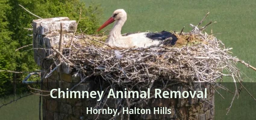 Chimney Animal Removal Hornby, Halton Hills - ON