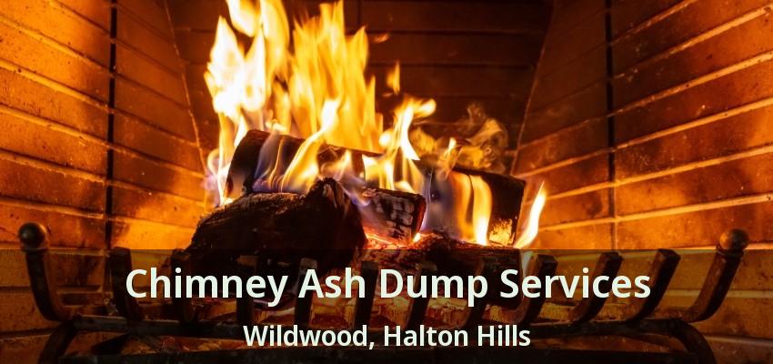 Chimney Ash Dump Services Wildwood, Halton Hills - ON