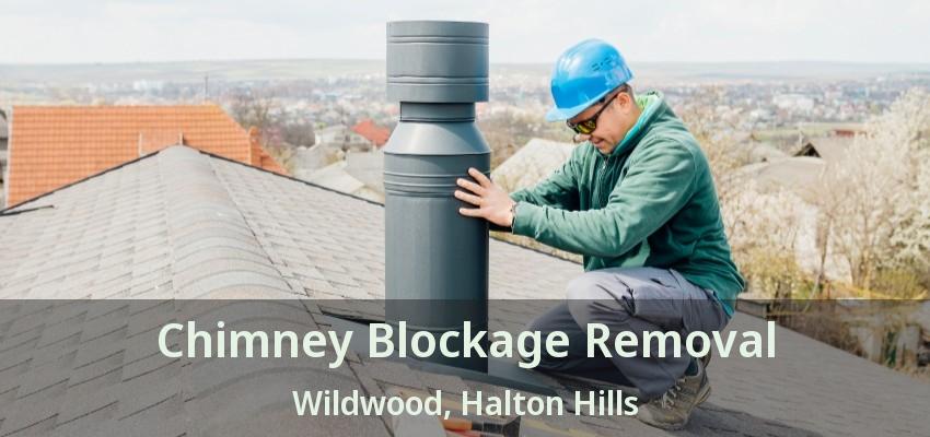 Chimney Blockage Removal Wildwood, Halton Hills - ON