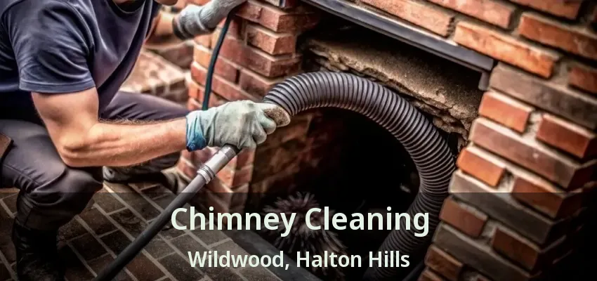 Chimney Cleaning Wildwood, Halton Hills - ON