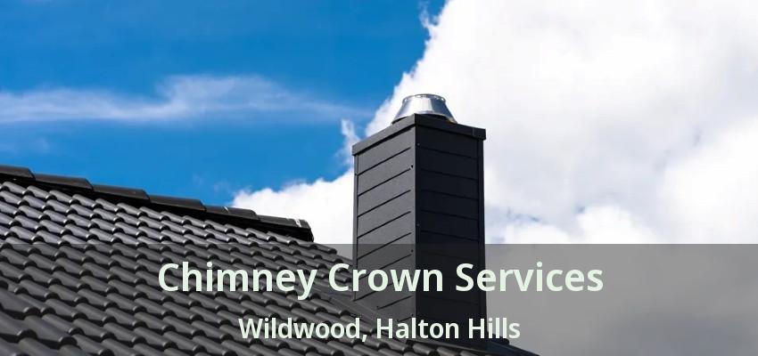 Chimney Crown Services Wildwood, Halton Hills - ON