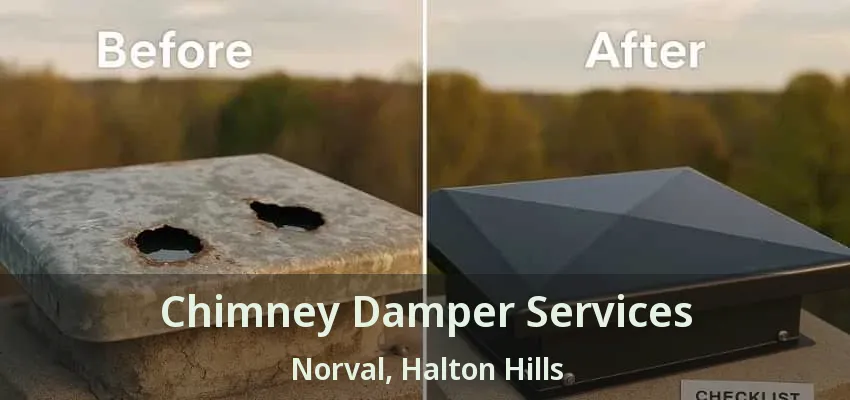 Chimney Damper Services Norval, Halton Hills - ON