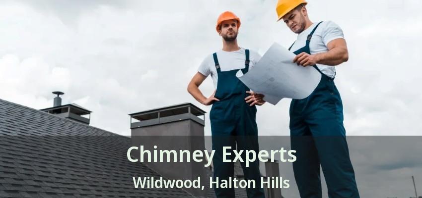 Chimney Experts Wildwood, Halton Hills - ON