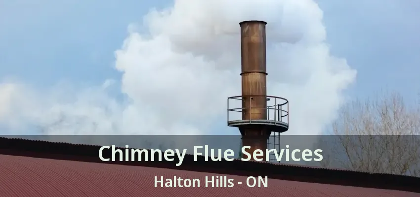 Chimney Flue Services Halton Hills - ON