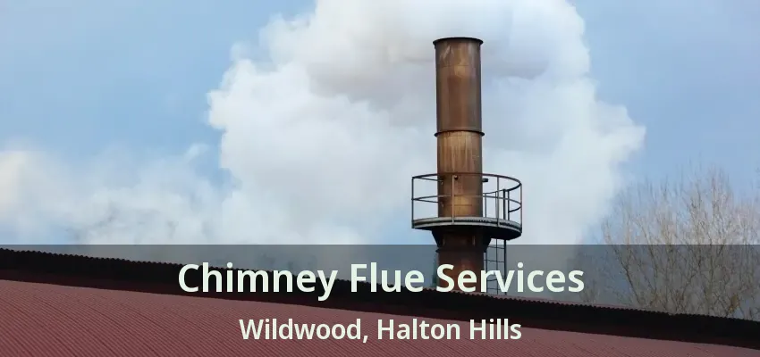 Chimney Flue Services Wildwood, Halton Hills - ON