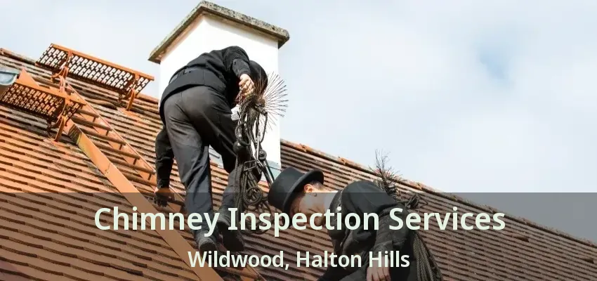 Chimney Inspection Services Wildwood, Halton Hills - ON
