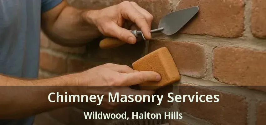 Chimney Masonry Services Wildwood, Halton Hills - ON
