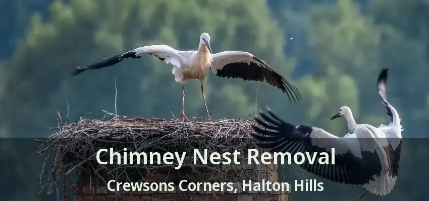 Chimney Nest Removal Crewsons Corners, Halton Hills - ON