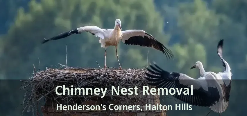 Chimney Nest Removal Henderson's Corners, Halton Hills - ON