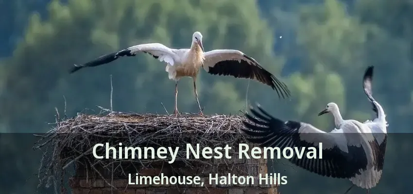 Chimney Nest Removal Limehouse, Halton Hills - ON