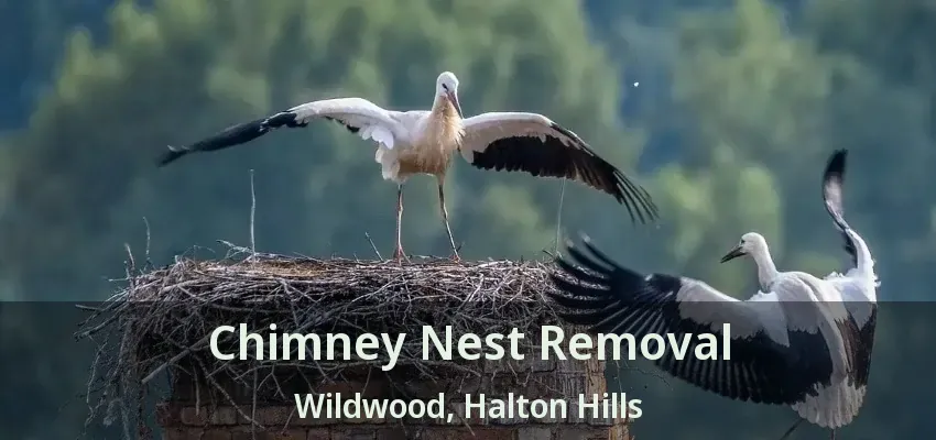 Chimney Nest Removal Wildwood, Halton Hills - ON