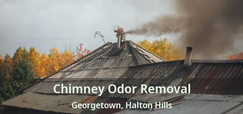 Chimney Odor Removal Georgetown, Halton Hills - ON