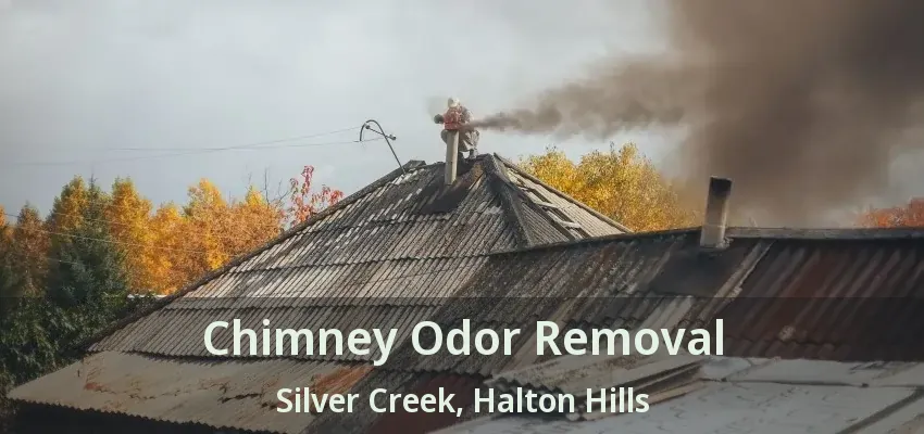 Chimney Odor Removal Silver Creek, Halton Hills - ON