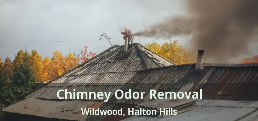 Chimney Odor Removal Wildwood, Halton Hills - ON