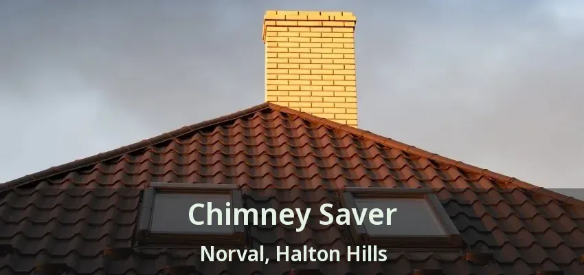 Chimney Saver Norval, Halton Hills - ON