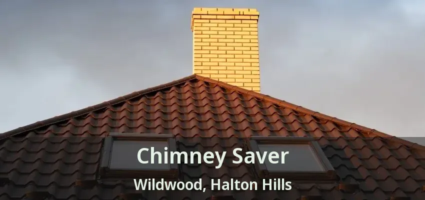 Chimney Saver Wildwood, Halton Hills - ON