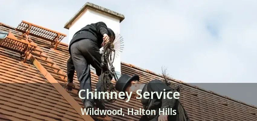Chimney Service Wildwood, Halton Hills - ON