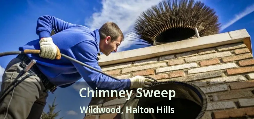 Chimney Sweep Wildwood, Halton Hills - ON