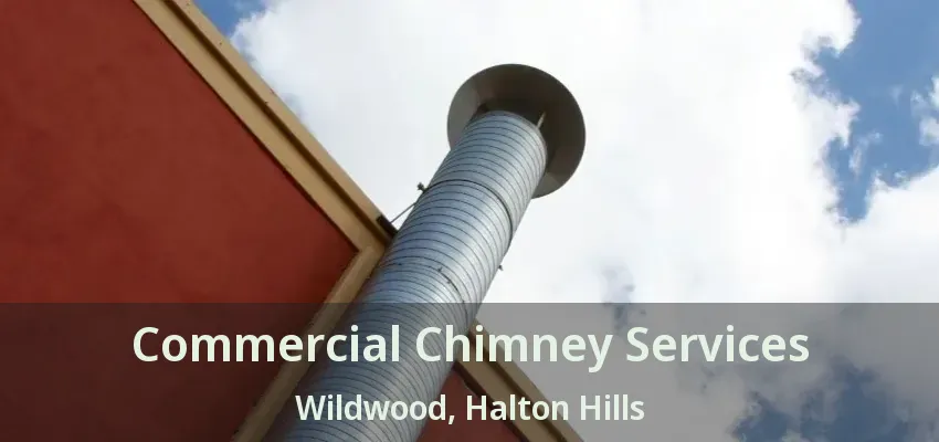 Commercial Chimney Services Wildwood, Halton Hills - ON