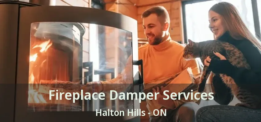 Fireplace Damper Services Halton Hills - ON