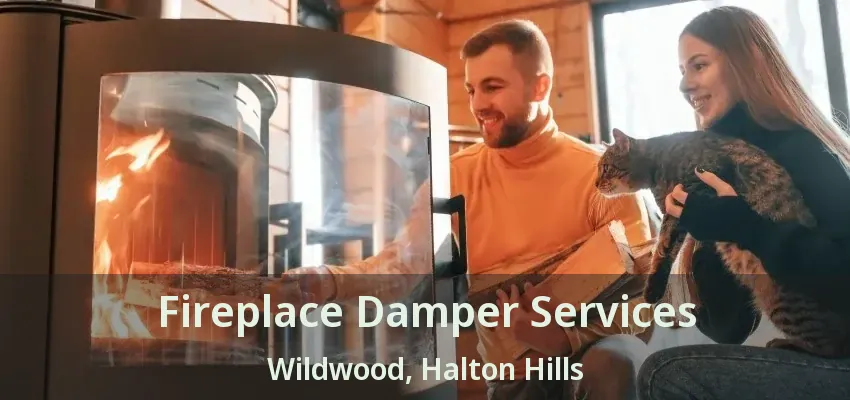 Fireplace Damper Services Wildwood, Halton Hills - ON