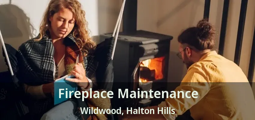 Fireplace Maintenance Wildwood, Halton Hills - ON