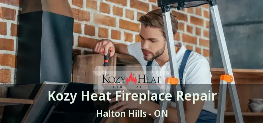 Kozy Heat Fireplace Repair Halton Hills - ON