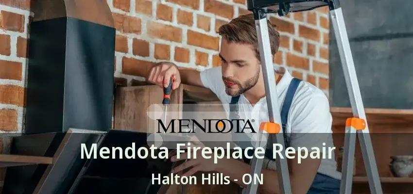 Mendota Fireplace Repair Halton Hills - ON