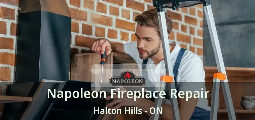 Napoleon Fireplace Repair Halton Hills - ON