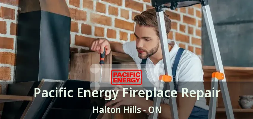 Pacific Energy Fireplace Repair Halton Hills - ON