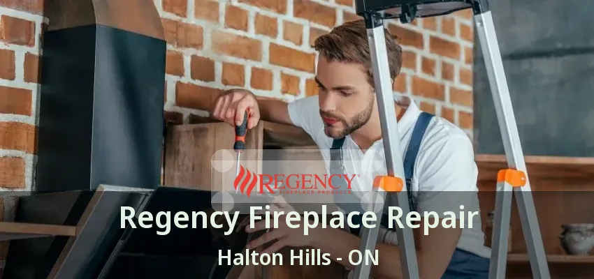 Regency Fireplace Repair Halton Hills - ON