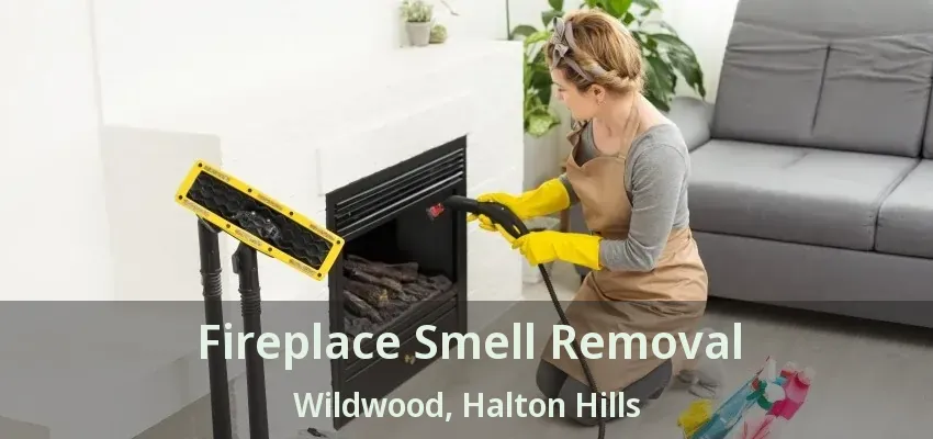 Fireplace Smell Removal Wildwood, Halton Hills - ON