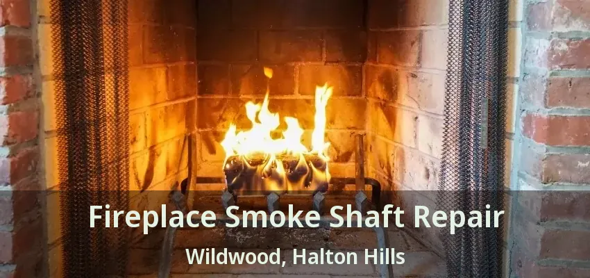 Fireplace Smoke Shaft Repair Wildwood, Halton Hills - ON