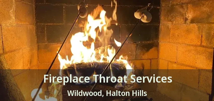 Fireplace Throat Services Wildwood, Halton Hills - ON