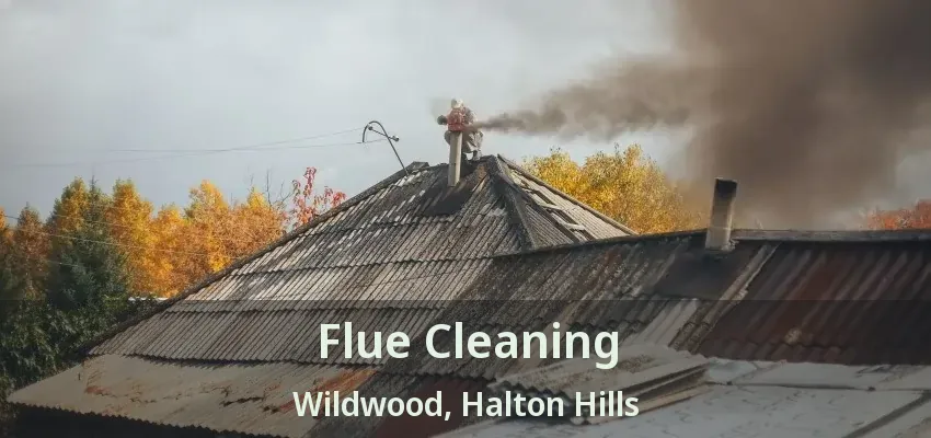 Flue Cleaning Wildwood, Halton Hills - ON
