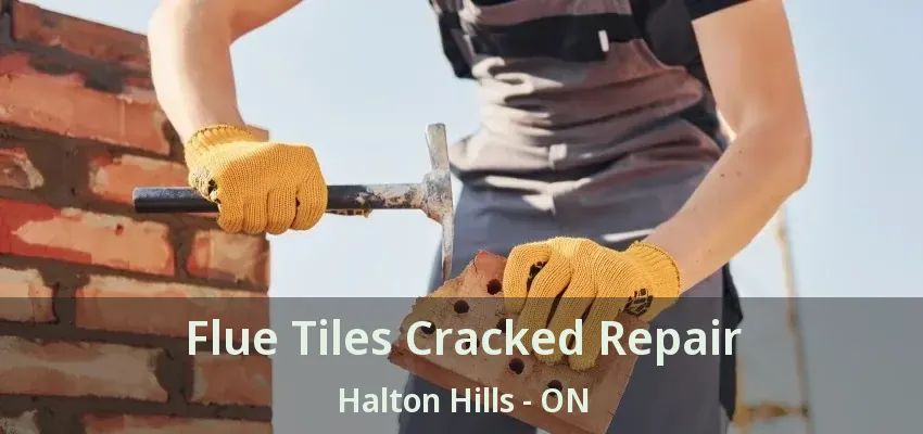 Flue Tiles Cracked Repair Halton Hills - ON