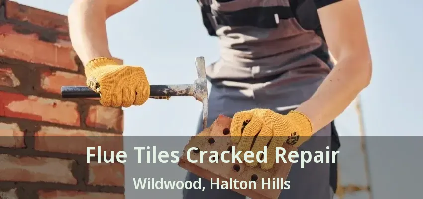 Flue Tiles Cracked Repair Wildwood, Halton Hills - ON