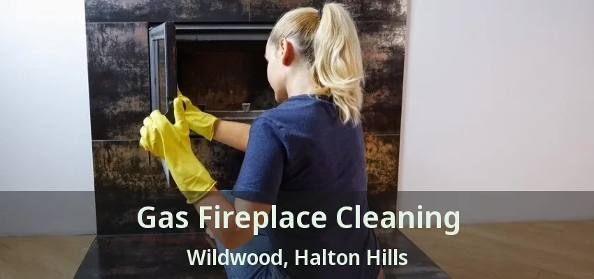 Gas Fireplace Cleaning Wildwood, Halton Hills - ON