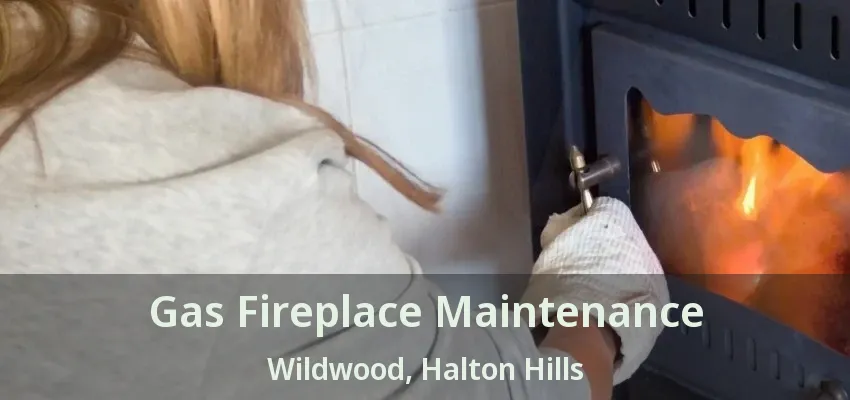 Gas Fireplace Maintenance Wildwood, Halton Hills - ON