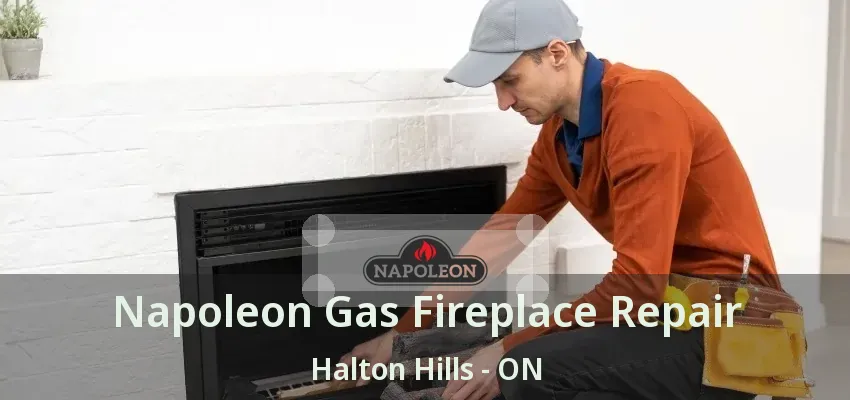 Napoleon Gas Fireplace Repair Halton Hills - ON