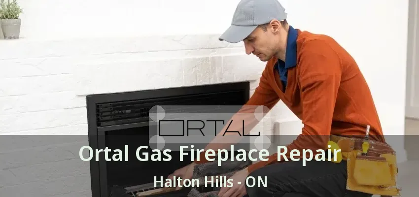 Ortal Gas Fireplace Repair Halton Hills - ON