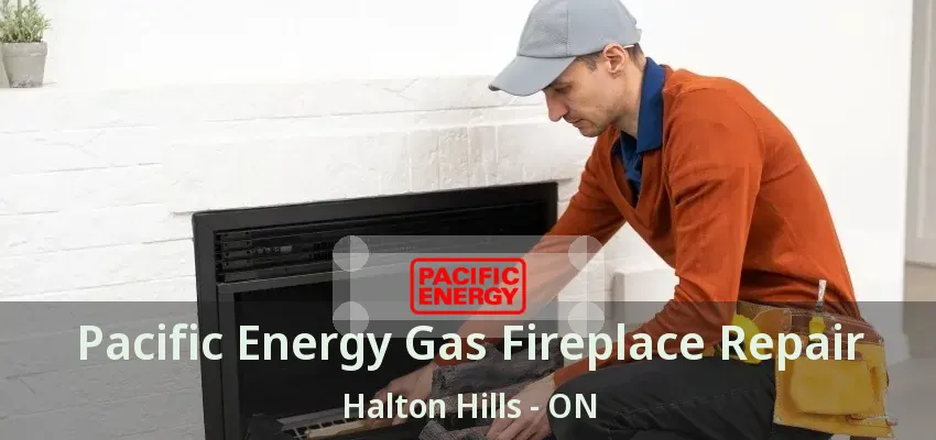 Pacific Energy Gas Fireplace Repair Halton Hills - ON