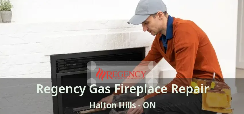 Regency Gas Fireplace Repair Halton Hills - ON