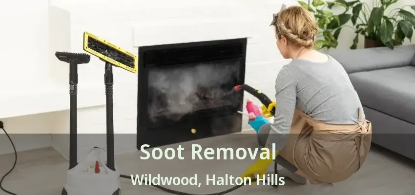 Soot Removal Wildwood, Halton Hills - ON