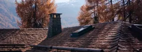 Chimney Animal Removal Wildwood, Halton Hills
